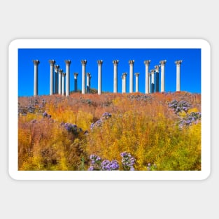 Capitol Arboretum Columns Sticker